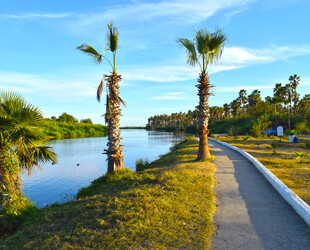 EXPLORE ESTUARY AND BIRD SANCTUARY